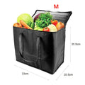 Travel Insulated Cooler Bag - 2 sizes available- 31L & 24L